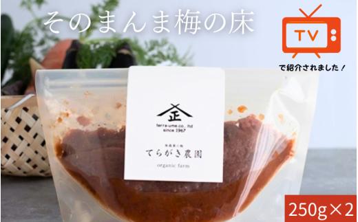 そのまんま梅の床・てんさい糖 250g×2 【trgk001A】