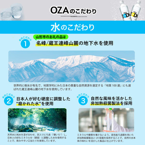 【定期便12回】OZA SODA 強炭酸水500ml×48本×12か月 計576本[レモン]  FZ24-240