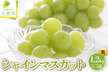 ぶどう ( シャインマスカット ) 1.2kg フルーツ 果物 山形 08-08-016