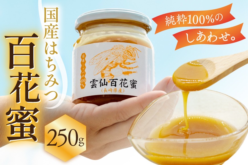 AJ443 はちみつ 国産 百花蜜 250g 1個 日本ミツバチ 純粋 100% [ 安中梅林を育てる会 蜂蜜 ハチミツ 非加熱 無添加 長崎県 島原市 ]