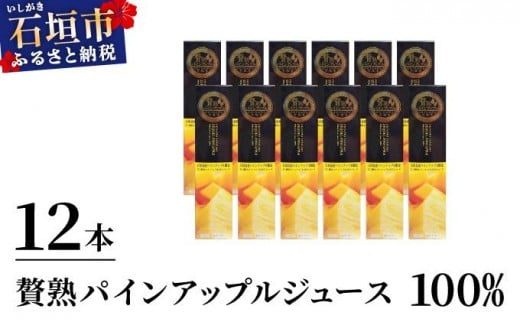 贅熟 石垣島産パインアップルジュース(100%) 500ml×12本