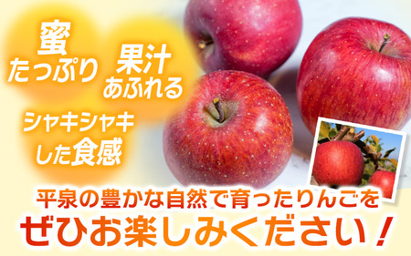 【１月上旬より発送】大文字りんご園 サンふじ 『大玉サイズ』 約5kg (約10～11玉)/【dma513-sf-5C-big】