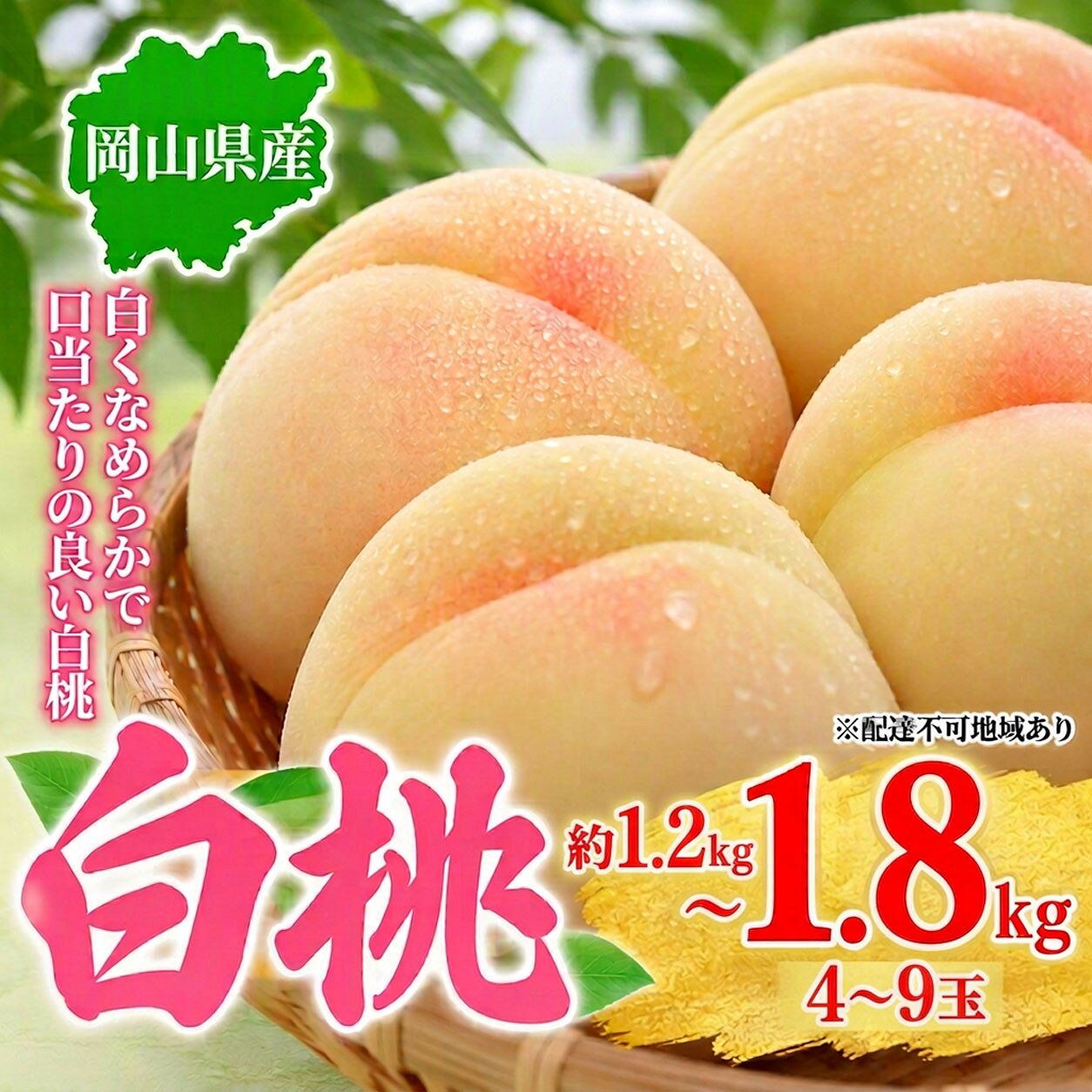 【ふるさと納税】【内容量が選べる】桃 2027年 岡山県産 白桃 約1.2kg 4～6玉から約1.8kg 7～9玉 お届け 7月上旬～7月下旬 | もも フルーツ 果物 くだもの 食品 人気 おすすめ 送料無料
