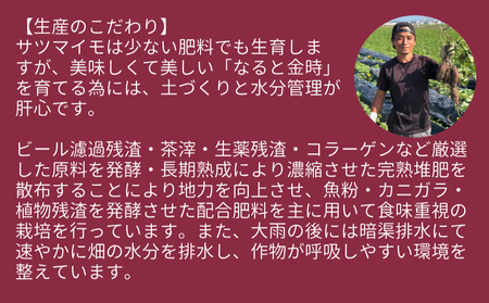 【木元農園】八代目のなると金時 約3kg | 鳴門金時 甘い ホクホク 熟成 産地直送 スイーツ おやつ 焼きいも 天ぷら 干し芋 スイートポテト 離乳食