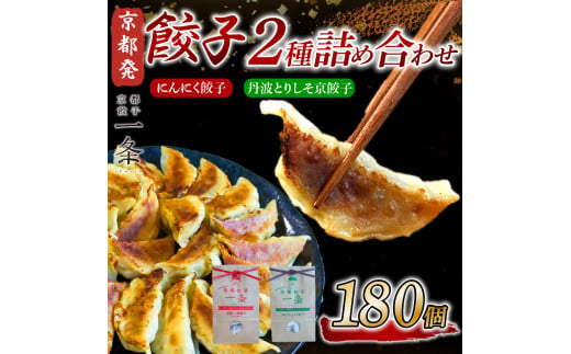  選べる 餃子 2種詰め合わせセット にんにく餃子 ＆ 丹波とりしそ京餃子  180個  冷凍 ぎょうざ ギョウザ ギョーザ しょうが 生姜 豚肉 便利 簡単調理 惣菜 絶品 おかず お子様 家族 こだわり餃子 餃子 人気餃子 簡易包装餃子 訳あり餃子 訳アリ 冷凍餃子 冷凍生餃子 京都 井手町 京都餃子一条 【234】