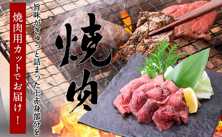あか牛 赤身焼肉用 1kg (250g×4個) 有限会社幸路《60日以内に出荷予定(土日祝除く)》あか牛 あかうし 赤牛 焼肉 冷凍 小分けパック