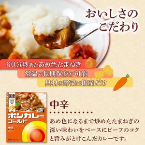 【定期便 全11回】ボンカレーゴールド（中辛）30個×11回　計330個