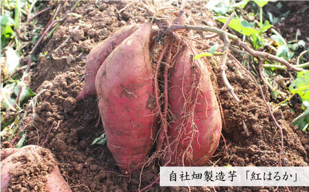 吟醸 芋 焼酎 磨き大島（720ml×２本）＜大島酒造＞[CCP004] 長崎 西海 酒 焼酎 こだわり焼酎 通販芋焼酎 酒 お取り寄せ焼酎 焼酎ギフト 芋焼酎セット 酒 焼酎飲み比べ 焼酎 芋焼酎 