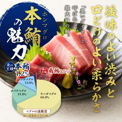 ふるさと納税 焼津市 訳あり　本マグロ 天然 中トロ 500g【定期便3回】(a42-018) | 