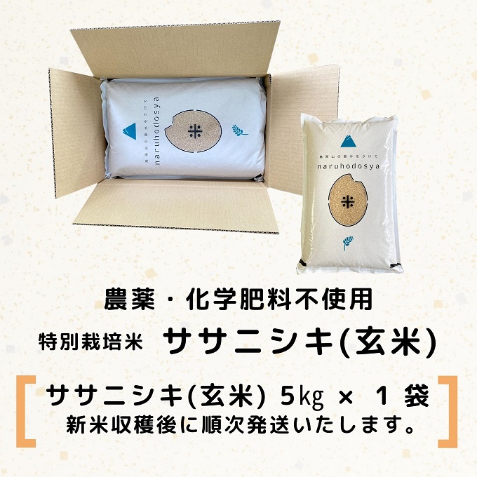 【令和5年産新米予約】【玄米】栽培期間中農薬・化学肥料不使用　特別栽培米ササニシキ5kg