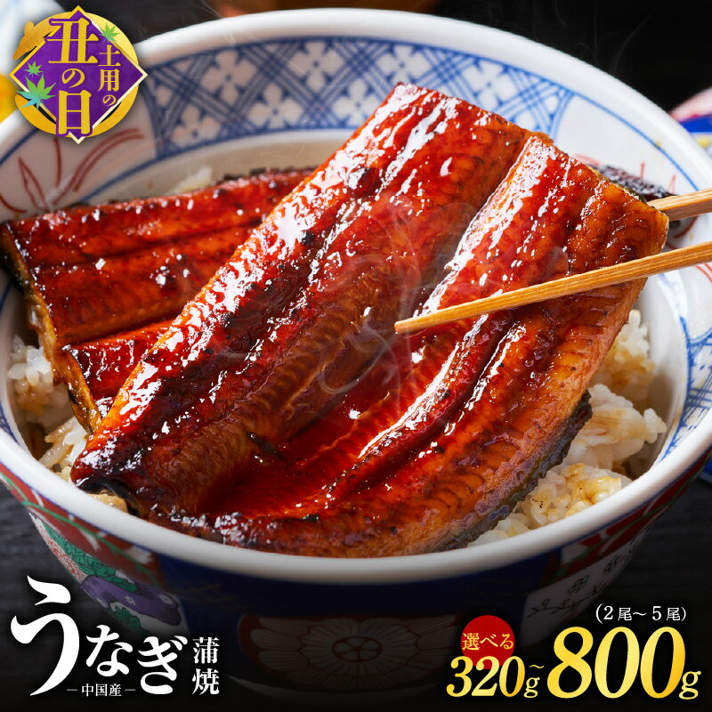 秘伝のたれ仕込み うなぎ蒲焼 合計320g（約160g×2尾）