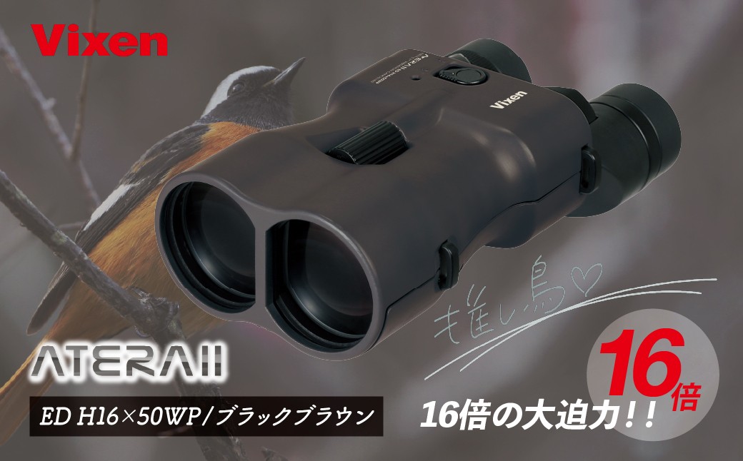 
            防振双眼鏡 ビクセン アテラ ATERAII EDH16x50WP (ブラックブラウン) | Vixen 双眼鏡 正規品 軽量 コンパクト 防水 天体観測 ライブ コンサート スポーツ観戦 野鳥観察 バードウォッチング スターウォッチング 株式会社ビクセン 埼玉県 所沢市
          