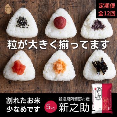 ふるさと納税 阿賀野市 【令和7年産】【12か月定期便】 新之助 5kg×12回 計 60kg 米杜氏 壱成 白米 精米