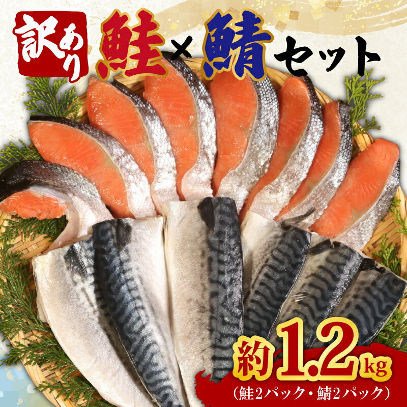 【ふるさと納税】 訳あり 鮭 鯖 セット 約1.2kg 銀鮭 切り身 さば フィーレ さけ 鮭 サーモン 塩鮭 塩鯖 切り身 魚 海鮮 つまみ 弁当 少量 家庭用 小分け 食品 冷凍 冷凍食品 グルメ 贈答 贈り物 プレゼント ギフト 長期保存 小分け お取り寄せ 送料無料 千葉県 銚子市 辻野