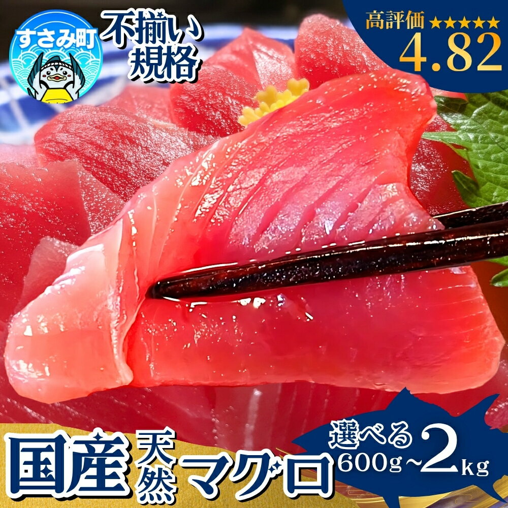 【ふるさと納税】 まぐろ 和歌山のマグロ【翌々営業日発送！】マグロ好きに高評価★★★★★ 和歌山の天然マグロ 冷凍【訳あり・選べる容量】【600g 1kg 2kg】鮪 ブロック 不揃い 海鮮丼 寿司 漬け丼 海鮮 小分け 刺身 和歌山 すさみ町 キハダマグロ メバチマグロ 本マグロ
