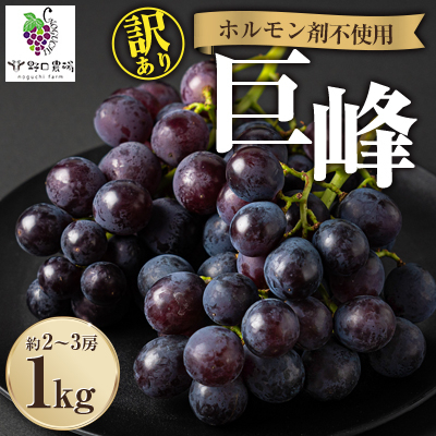 
                  福岡県産　巨峰　1kg(野口農場)【1529095】
                