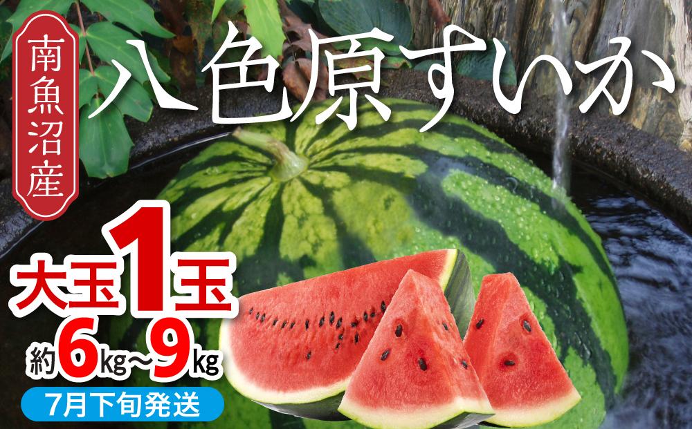 【先行予約】【新潟県 南魚沼産】八色原すいか大玉１玉【西瓜 スイカ すいか 大玉 季節限定 果物 フルーツ ギフト 名産地 産地直送 シャキシャキ 厳選 デザート 新潟県】【2026年7月下旬発送】【お届け日時指定不可】