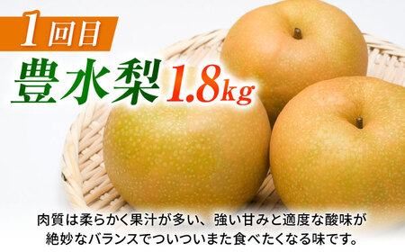 【先行予約】【3回定期便】 梨 約1.8kg 計約5.4kg（豊水・秋月・新高）  梨 ナシ フルーツ 果物 【日本フルーツ株式会社】[ZFJ069]