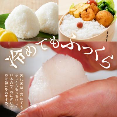 ふるさと納税 妙高市 令和7年産服部米蔵の妙高矢代産コシヒカリ5kg |  | 02