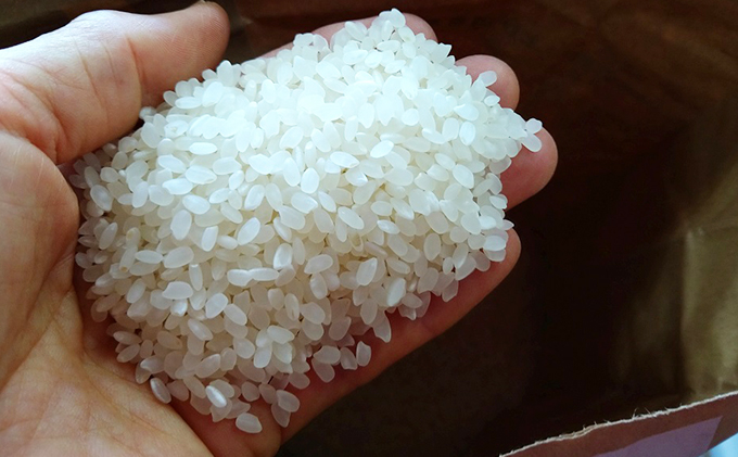 【2024年10月より順次発送】雄踏ファームカモ産「特選みつばちまもる米」5kg コシヒカリ