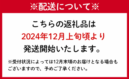 【2024年12月発送】徳之島 天城町産 農家直送 アールスメロン メロン マスクメロン 2L×1玉 