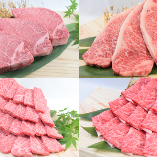 佐賀牛セット 年4回定期便コース(3人前) H-194