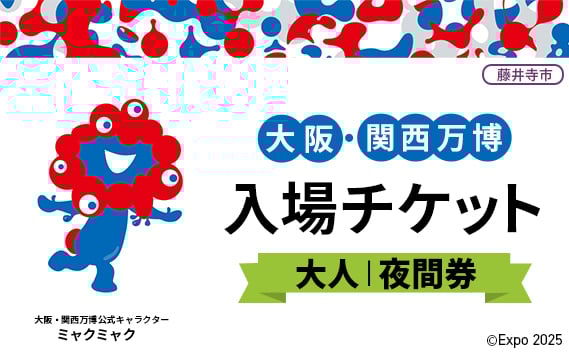 
            No.377 2025年日本国際博覧会入場チケット 夜間券（大人）【藤井寺市返礼品】 ／ 万博 EXPO 2025 大阪万博 関西万博 夢洲 入場券 大阪府
          