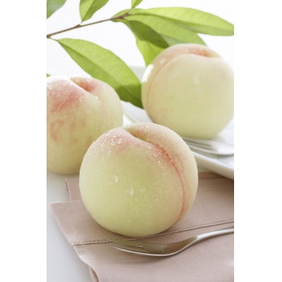 2026年 岡山白桃ロイヤル晩生(1箱3玉)800g【配送不可地域：離島】