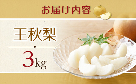 【先行予約】王秋梨 3kg前後 ※2026年10月下旬～12月上旬頃に順次発送予定 【梨 なし 果物 フルーツ くだもの 鳥取県産 北栄町 おすすめ 人気】
