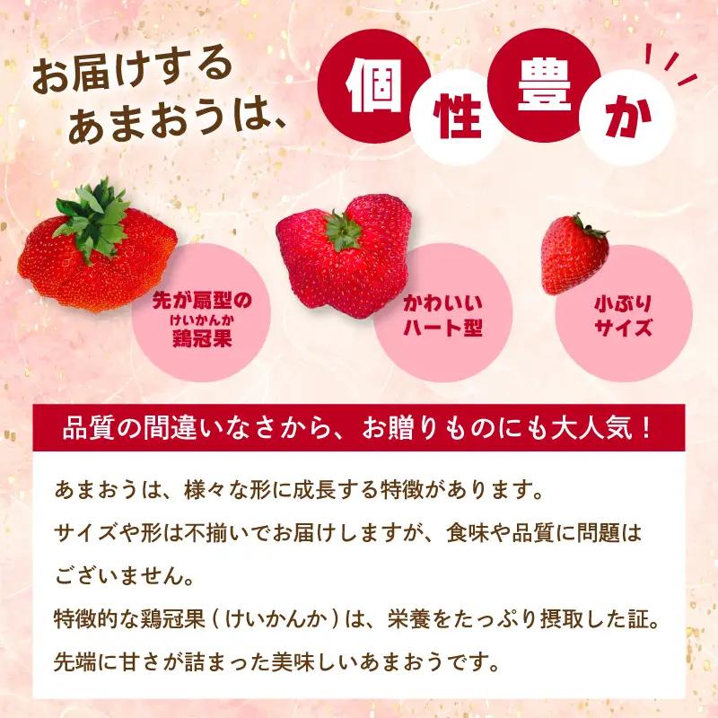 【ふるなびWEEK対象】【1-2月発送】いちご 1400g | いちご SEM