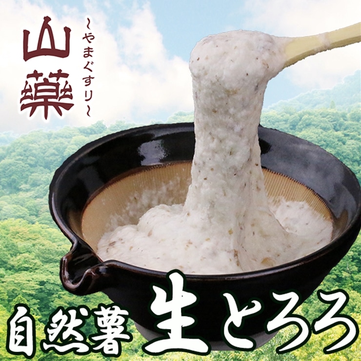 【ふるさと納税】自然薯の味をお楽しみください。自然薯生とろろ100ｇ×５ｐセット【 野菜 神奈川県 小田原市 】