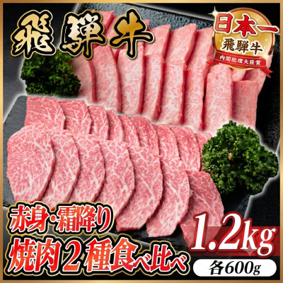飛騨牛　赤身・霜降り焼肉2種食べ比べセット(ヒレ・三角バラカルビ)計1.2kg(各600g)タレ付き【配送不可地域：離島】