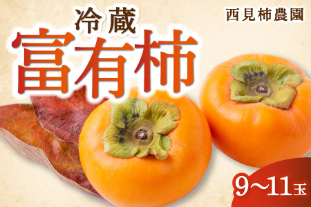【先行予約】西見柿農園 冷蔵富有柿 9玉から11玉 2025年12月中旬から2026年1月下旬 出荷予定
