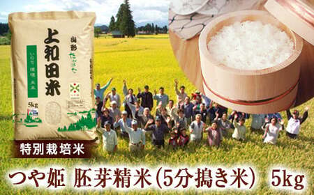 山形県 高畠町産 特別栽培米 つや姫 胚芽精米（5分搗き米）5kg お米 白米 ブランド米  ごはん ご飯  F20B-210