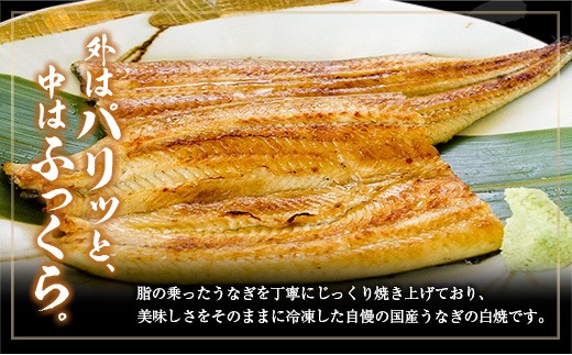 ＜12回定期便＞国産 うなぎ 白焼 有頭 1尾（181～215g）×12か月 計2.1kg以上 たれ付き 宮崎県産 鰻 中村商店