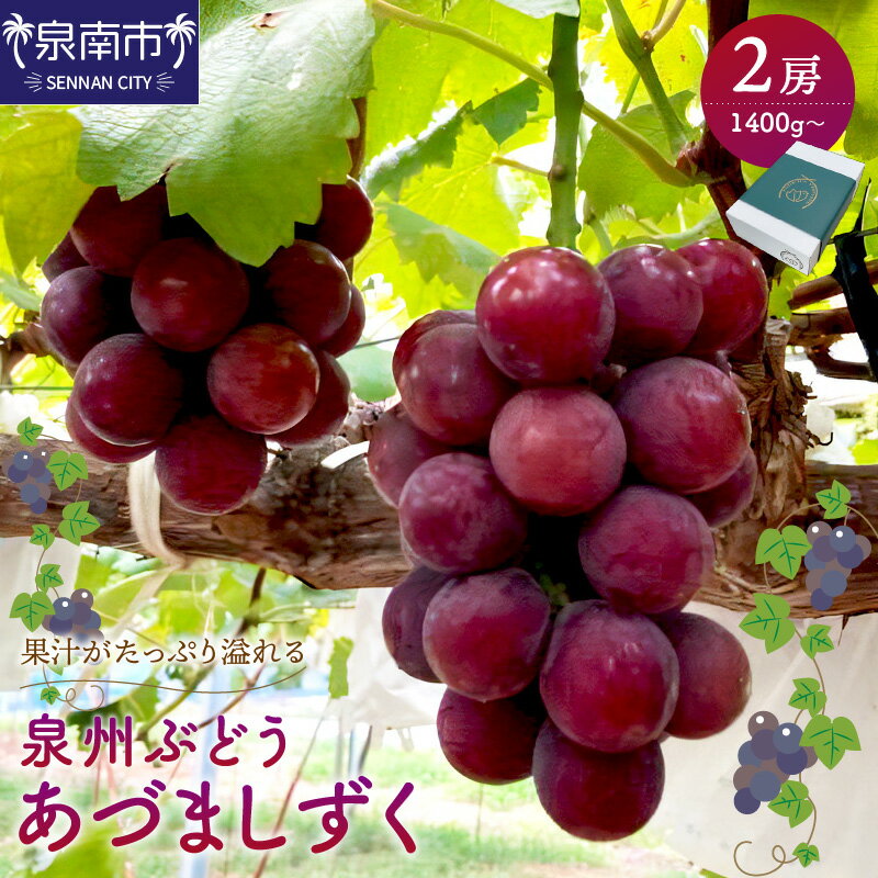 【ふるさと納税】泉州ぶどう あづましずく 2房 ブドウ フルーツ 果物 期間限定 数量限定 国産 ふるさと納税 ぶどう
