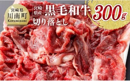 【ふるなびWEEK対象】牛肉 宮崎県産黒毛和牛切り落とし300g【 FN-Limited 牛肉牛肉牛肉牛肉牛肉 】