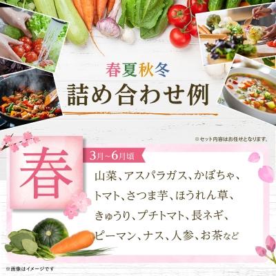 ふるさと納税 美里町 季節の野菜 詰め合わせ「スタンダードコース」 |  | 01