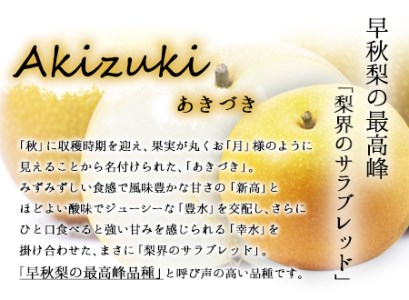 作村果樹園のあきづき梨 約5kg(9～13玉前後) 熊本県氷川町産 作村果樹園《8月中旬-9月末頃出荷》梨 なし