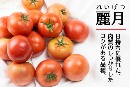 《2026年先行予約》【訳あり】飛騨トマト　約1.8kg 