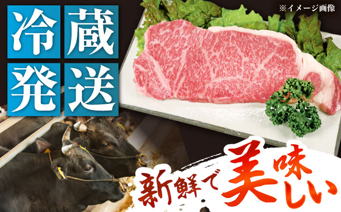 【チルド（冷蔵）発送！】 「飛騨牛」 A5等級 サーロインステーキ 200g / 牛肉 焼肉 鉄板焼き 網焼き BBQ / 恵那市 / 東美濃農業協同組合 [AUFX010]