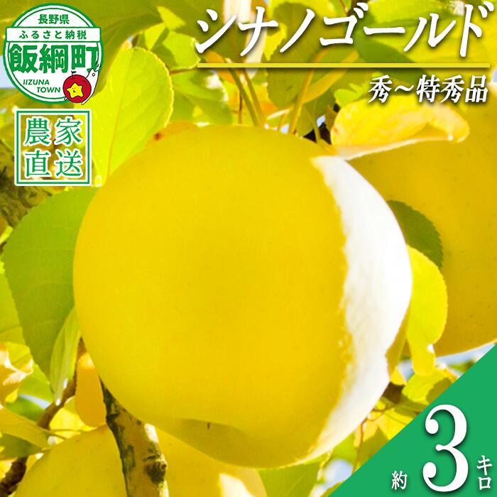 【ふるさと納税】 りんご シナノゴールド 秀 〜 特秀 3kg 丸山りんご園 沖縄県への配送不可 令和8年度収穫分 長野県 飯綱町 〔 信州 果物 フルーツ リンゴ 林檎 長野 12000円 予約 農家直送 〕発送時期：2026年11月上旬〜2026年12月上旬 {***}