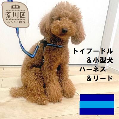 ふるさと納税 荒川区 トイプードル向けハーネス&amp;リード(カラー:紺青紺)【001-018-3】
