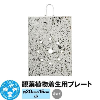 ふるさと納税 邑楽町 観葉植物着生用プレート 溶岩石 小(約20×15cm) 1枚|09_chm-cm0101ba