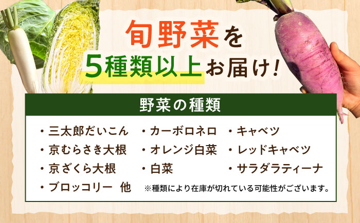 旬の野菜セット 5種類以上＜上野さん家の野菜＞那珂川市 [GGD001]