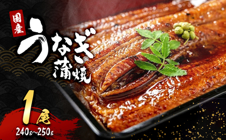 「国産うなぎ蒲焼」1尾(240g～250g)