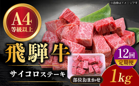 【12回定期便】 飛騨牛 サイコロステーキ 部位おまかせ 1kg A4等級以上  多治見市 / 渡辺精肉店 和牛 ブランド牛 牛肉[TAZ045]