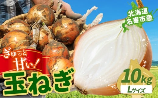 北海道名寄産 玉ねぎ 10kg 秀品  Lサイズ《2026年10月上旬～12月上旬出荷予定》北海道 名寄市 野菜 玉ねぎ 旬 カレー グラタン オニオンリング