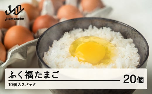 
            ふく福 たまご20個（10個入2パック）卵 fu-egskx20
          