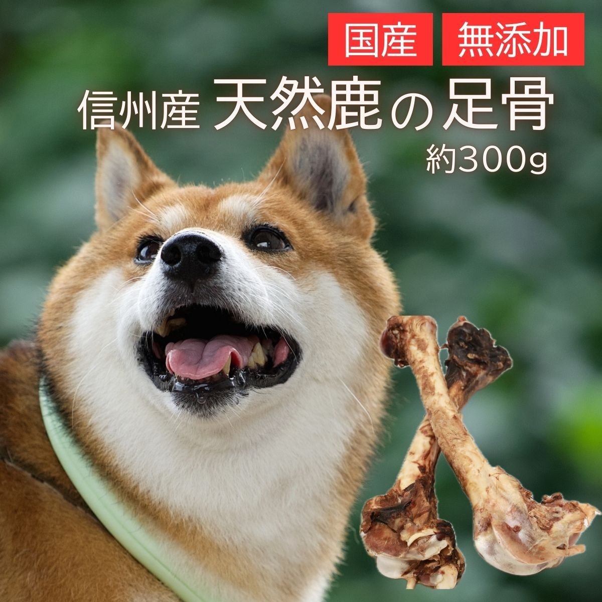 
                  信州産天然鹿 足骨 300g
                